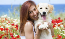 Lorem ipsum dolor sit